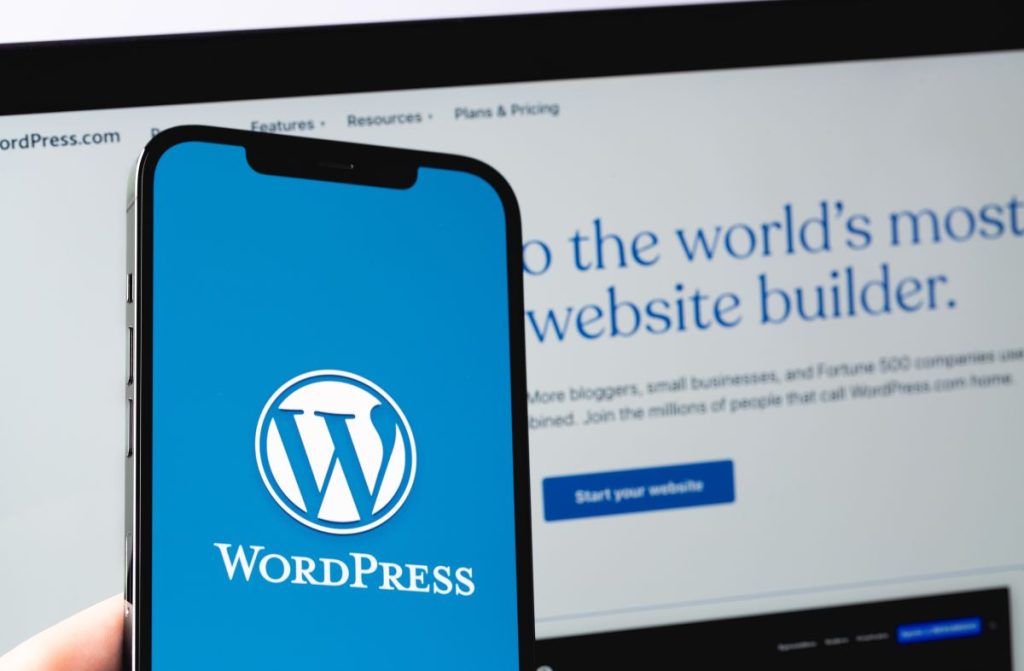Professional WordPress website development in Turin